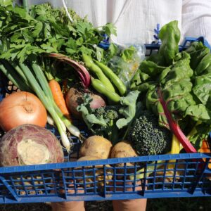 Couple's Vegetable box