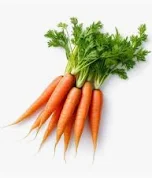 Carrot Bunch