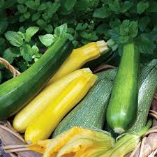 Courgettes Small