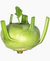 Kohlrabi