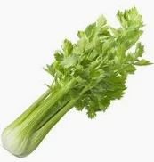 Celery